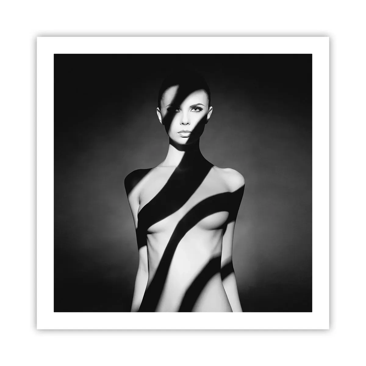 Plakat - I blænding og skygge - 60x60 cm