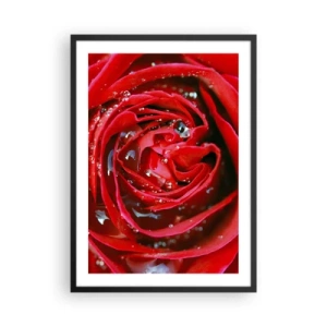 Plakat i sort ramme - Nærbillede af en rød rose med vanddråber - 50x70cm - I dråber af dug - Moderne vægdekoration til stue og soveværelse ARTTOR
