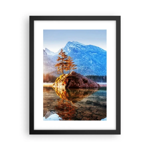 Plakat i sort ramme - Naturen i et nyt lys - 30x40 cm