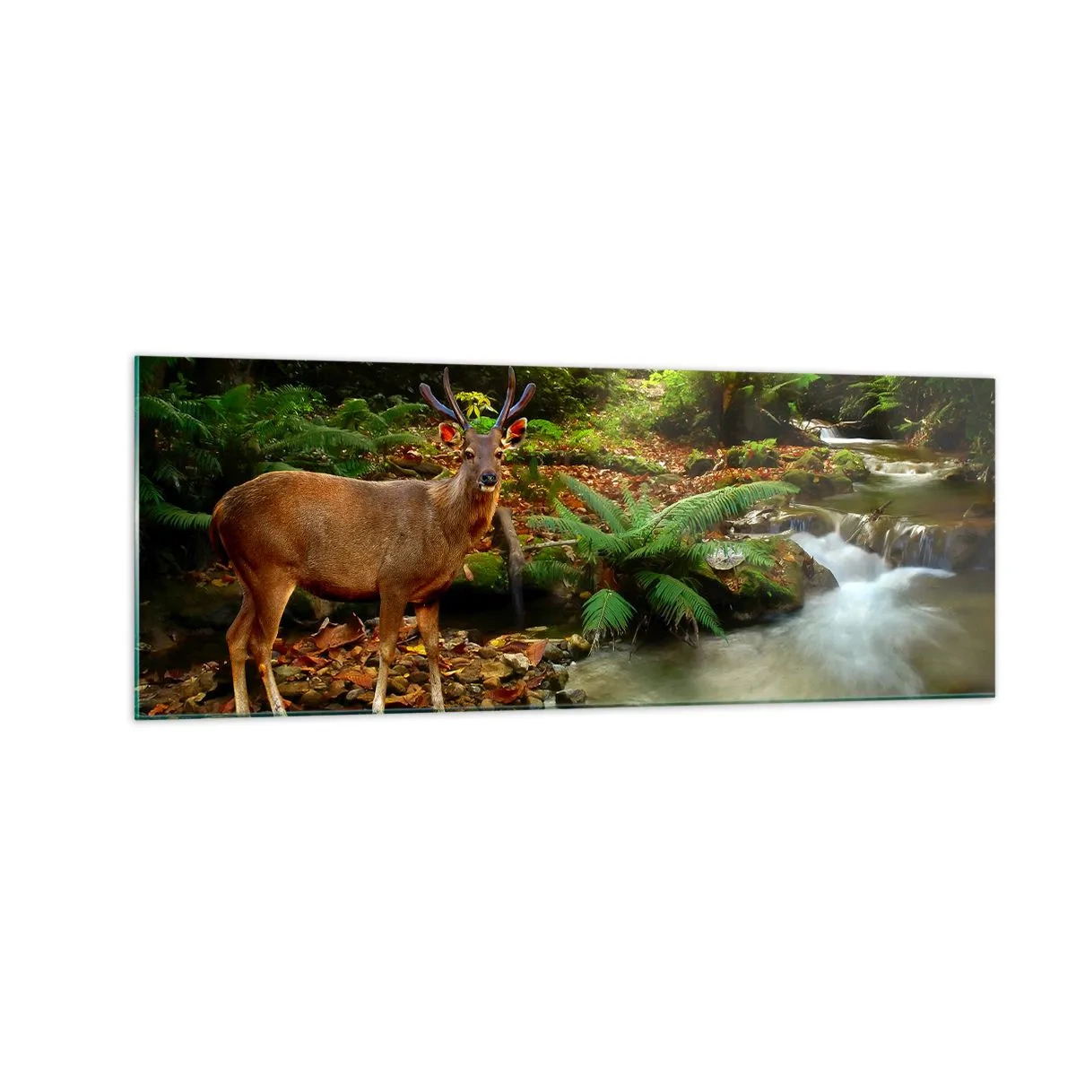 Billede på glas - Velkommen til min verden - 140x50 cm