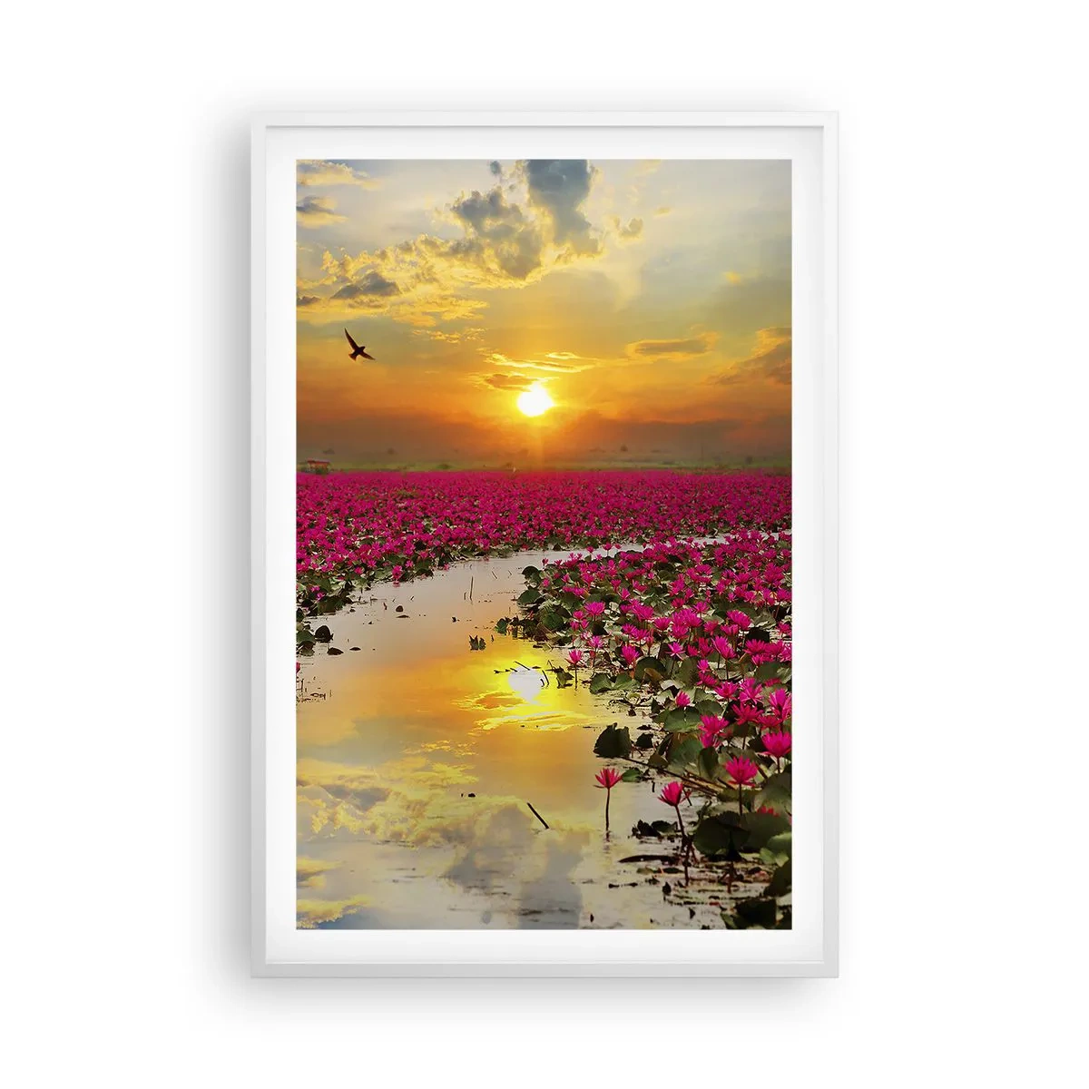 Plakat i hvid ramme - Søens hemmelige liv - 61x91 cm