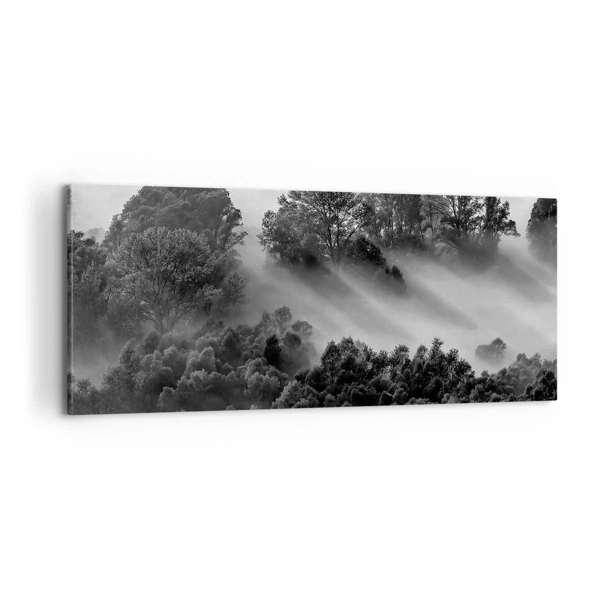 Lærredstryk - Billede på lærred - At vågne fra søvnen - 100x40 cm
