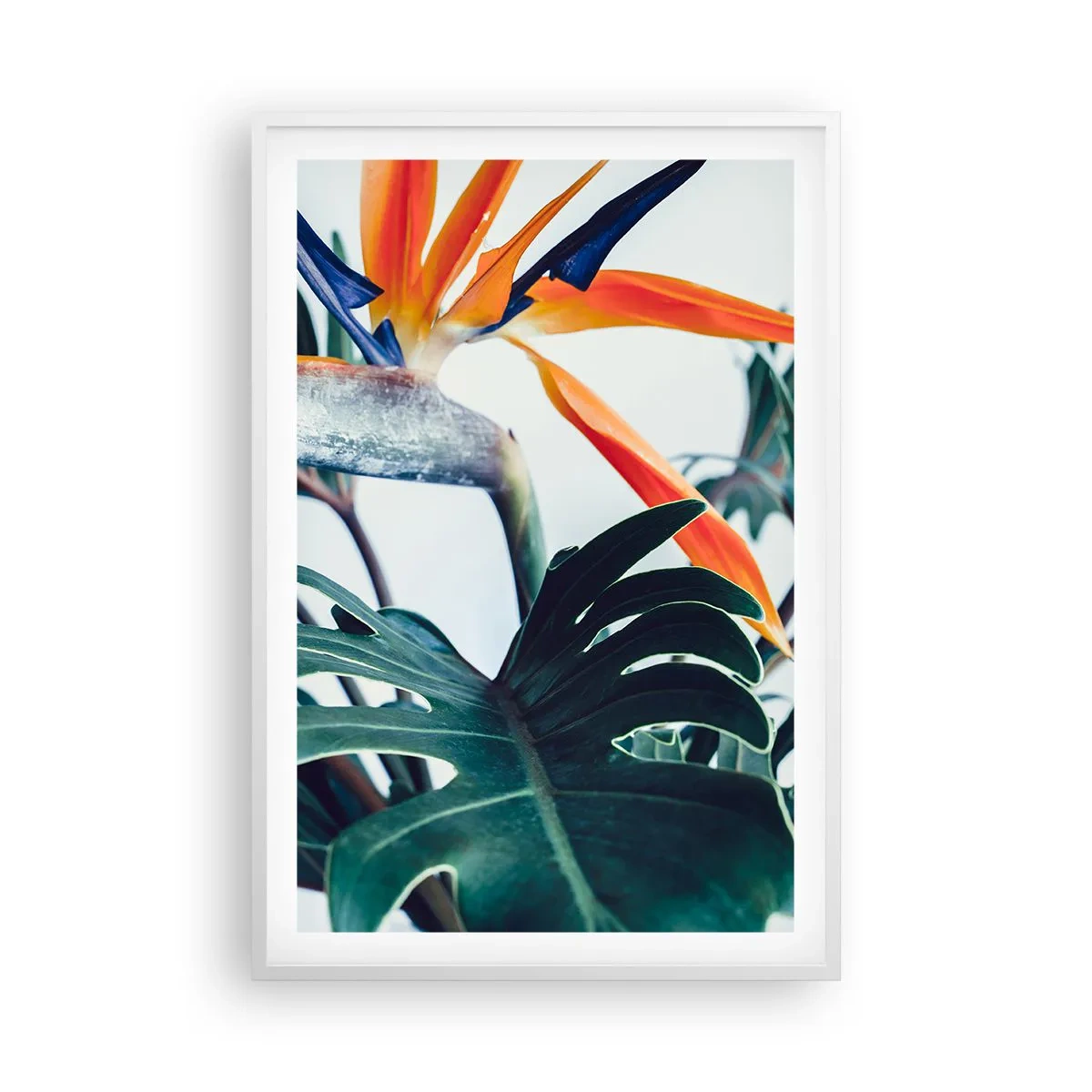 Plakat i hvid ramme - Fuglebur - 61x91 cm