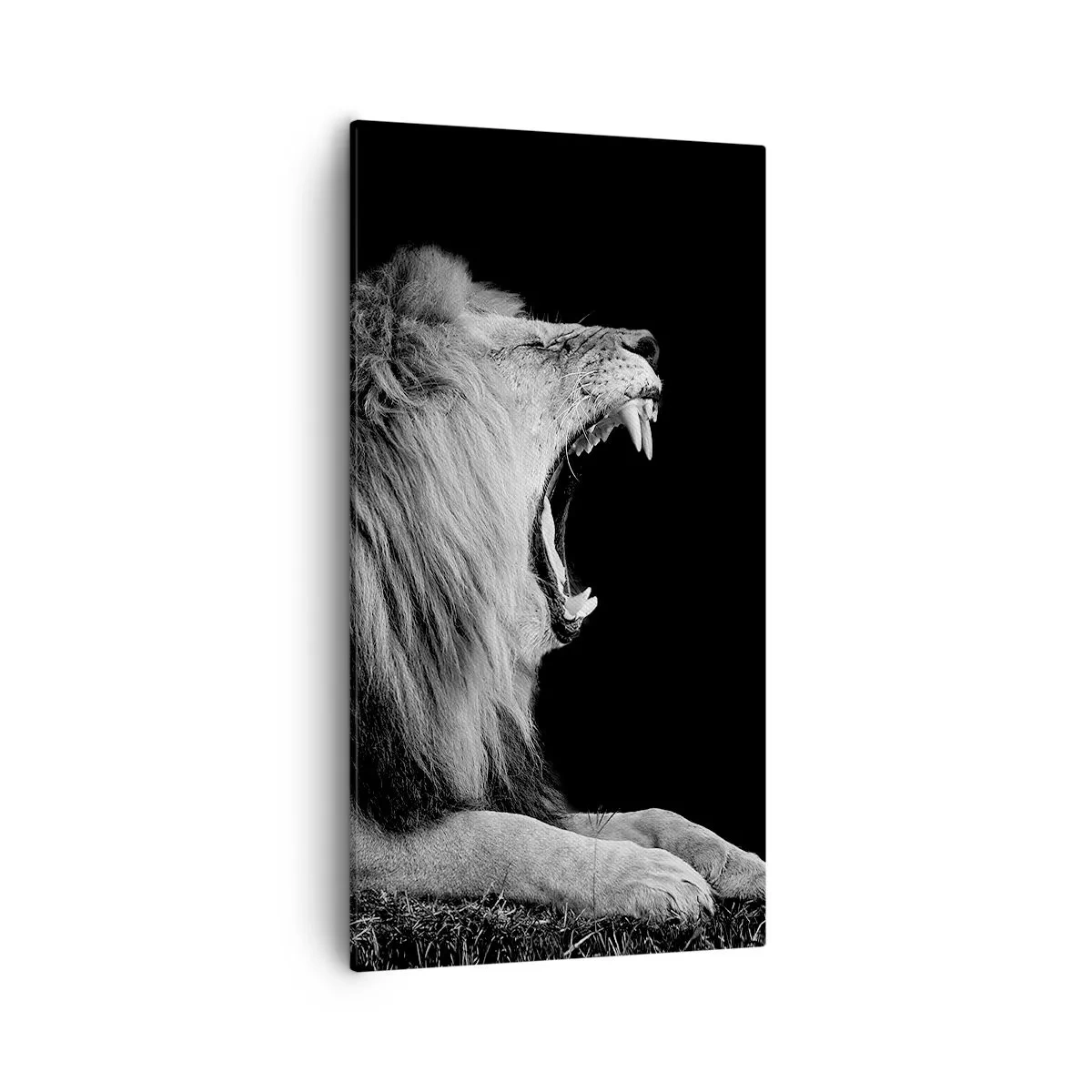 Lærredstryk - Billede på lærred - Uden tvivl - 55x100 cm