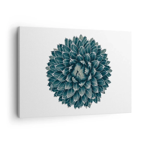 Lærredstryk - Billede på lærred - Symmetrisk sukkulent plante på en hvid baggrund - 70x50cm - Ørkenstjerne - Moderne vægdekoration til stue og soveværelse ARTTOR