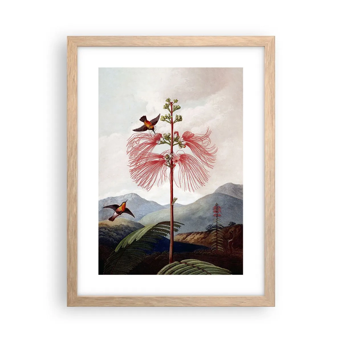 Plakat i ramme af lyst egetræ - I et tropisk paradis - 30x40 cm