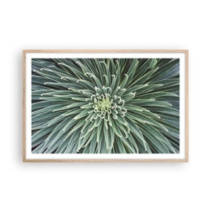 Plakat i ramme af lyst egetræ - En stjernes fødsel - 91x61 cm