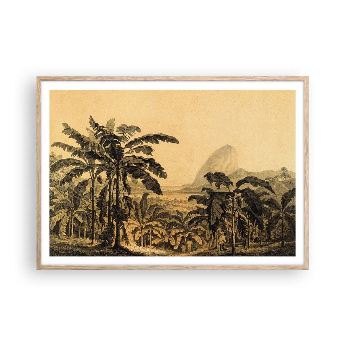 Plakat i ramme af lyst egetræ - I en kolonial atmosfære - 100x70 cm