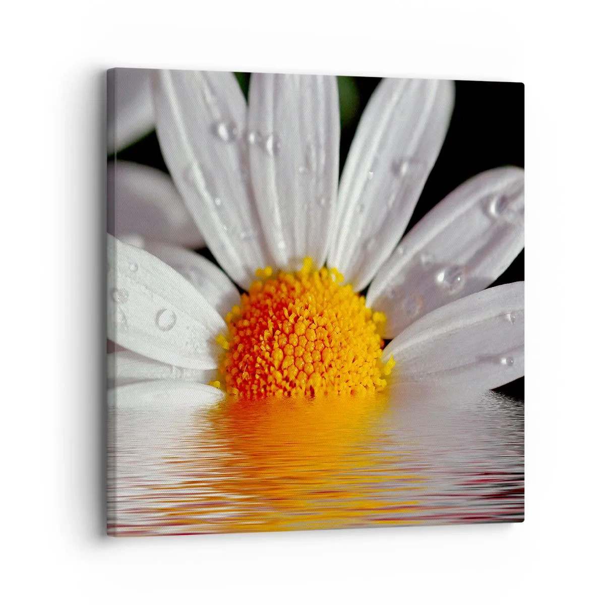 Lærredstryk - Billede på lærred - Den opgående sol på margaret - 30x30 cm