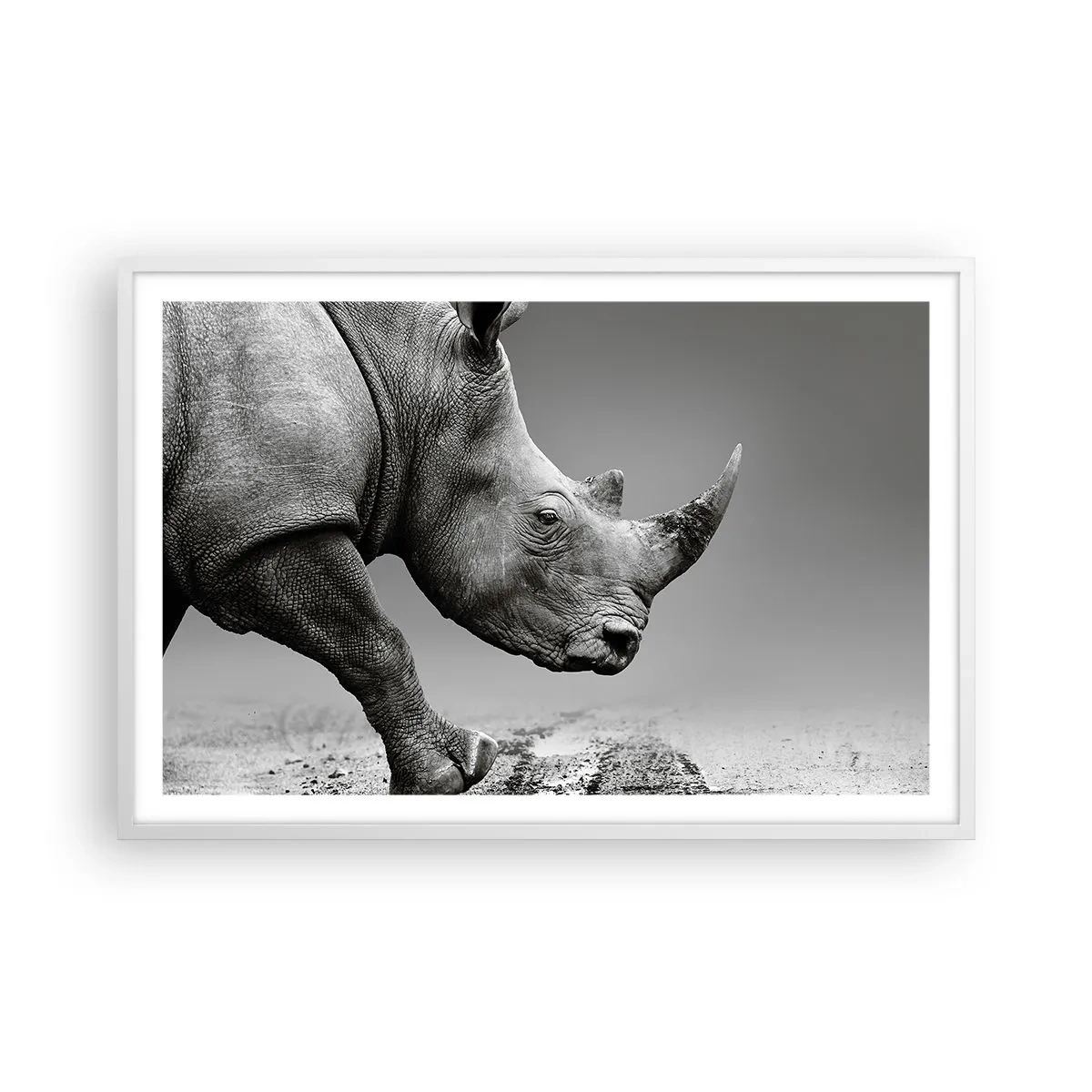 Plakat i hvid ramme - En ustoppeli - 91x61 cm