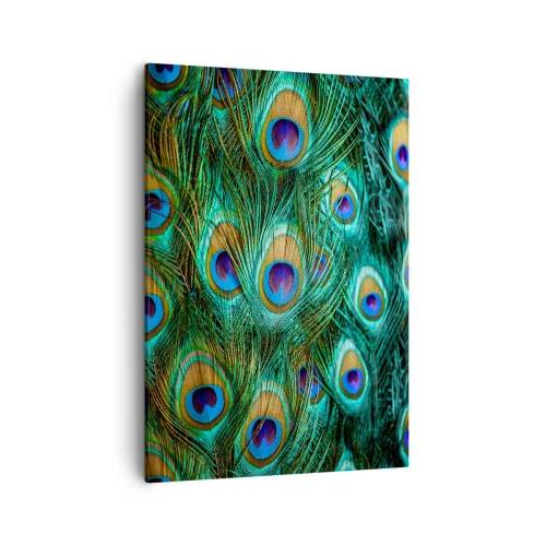 Lærredstryk - Billede på lærred - En påfugls blik - 50x70 cm