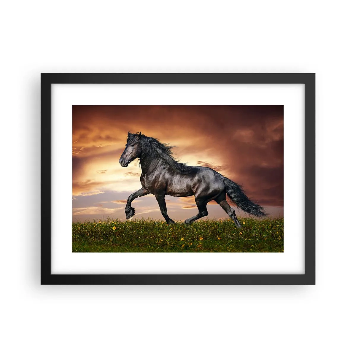 Plakat i sort ramme - Sort prins - 40x30 cm