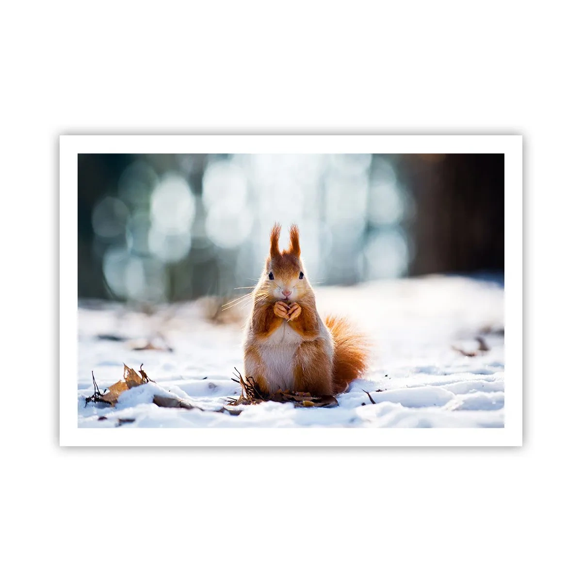 Plakat - Og hvad kigger du på? - 91x61 cm