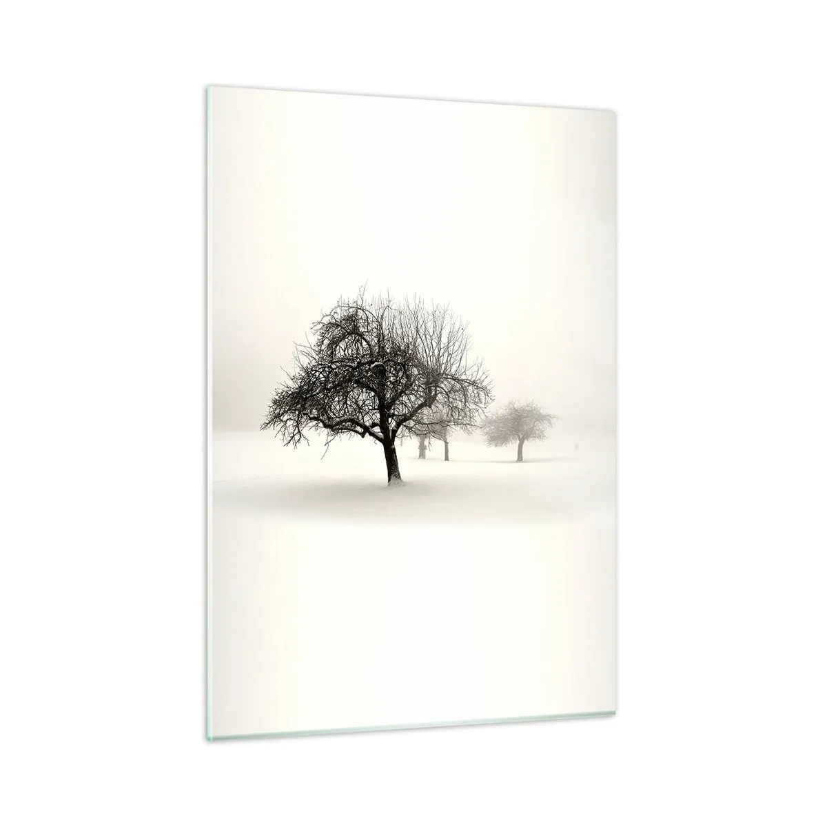 Billede på glas - Vintersøvn - 50x70 cm