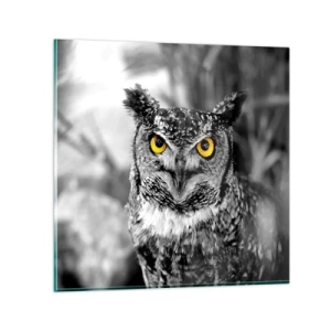 Billede på glas - Intet kan skjules - 60x60 cm