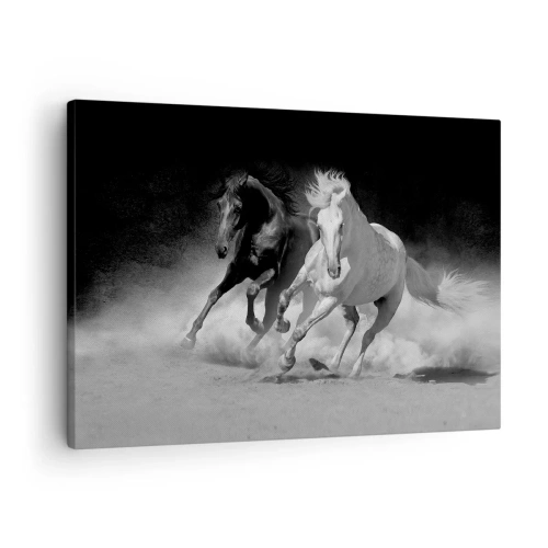Lærredstryk - Billede på lærred - Løbende heste i sort og hvid - 70x50cm - Frihedens galop - Moderne vægdekoration til stue og soveværelse ARTTOR