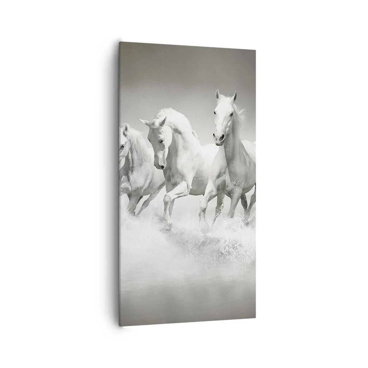 Lærredstryk - Billede på lærred - Hvid galskab - 65x120 cm