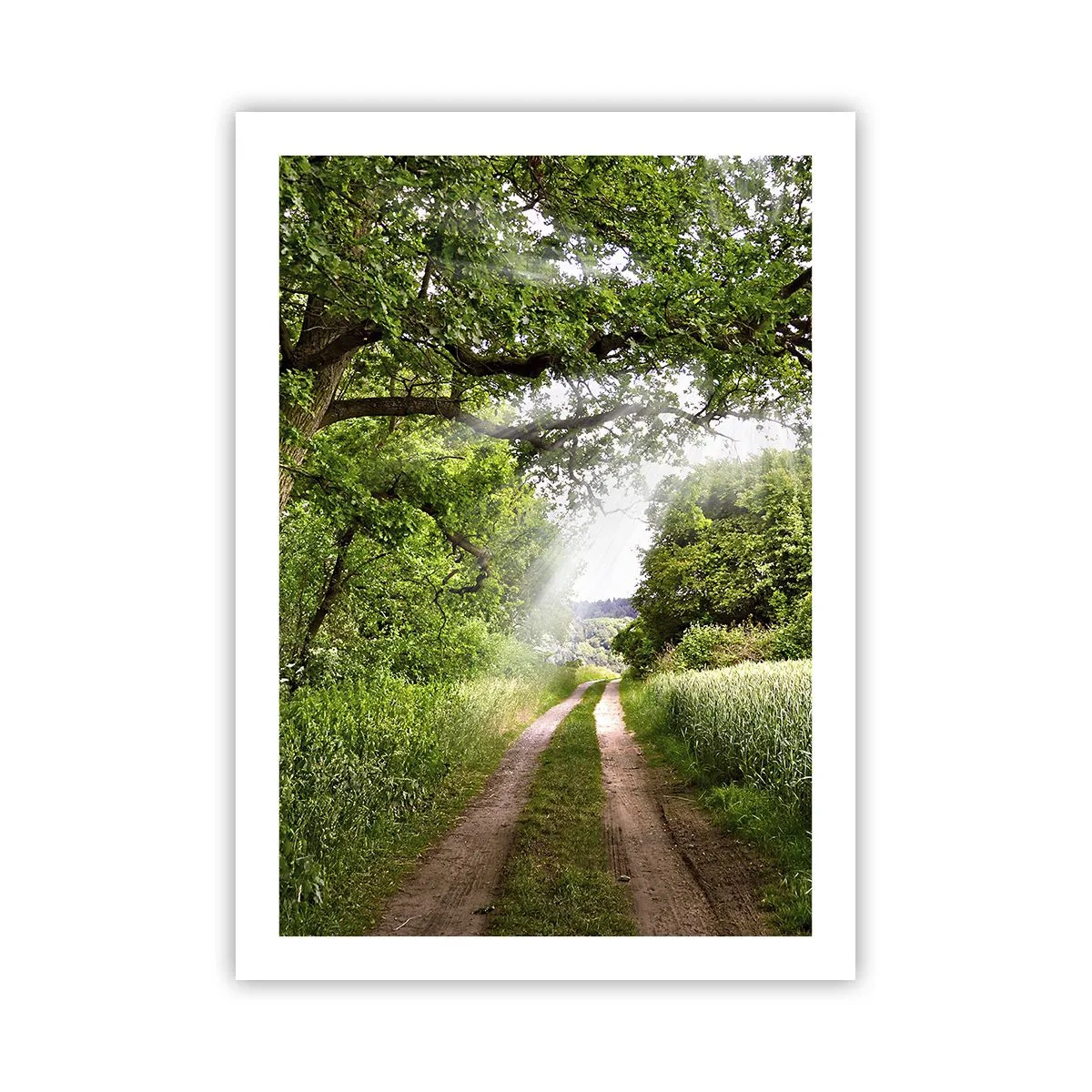 Plakat - Et in Arcadia ego - 50x70 cm