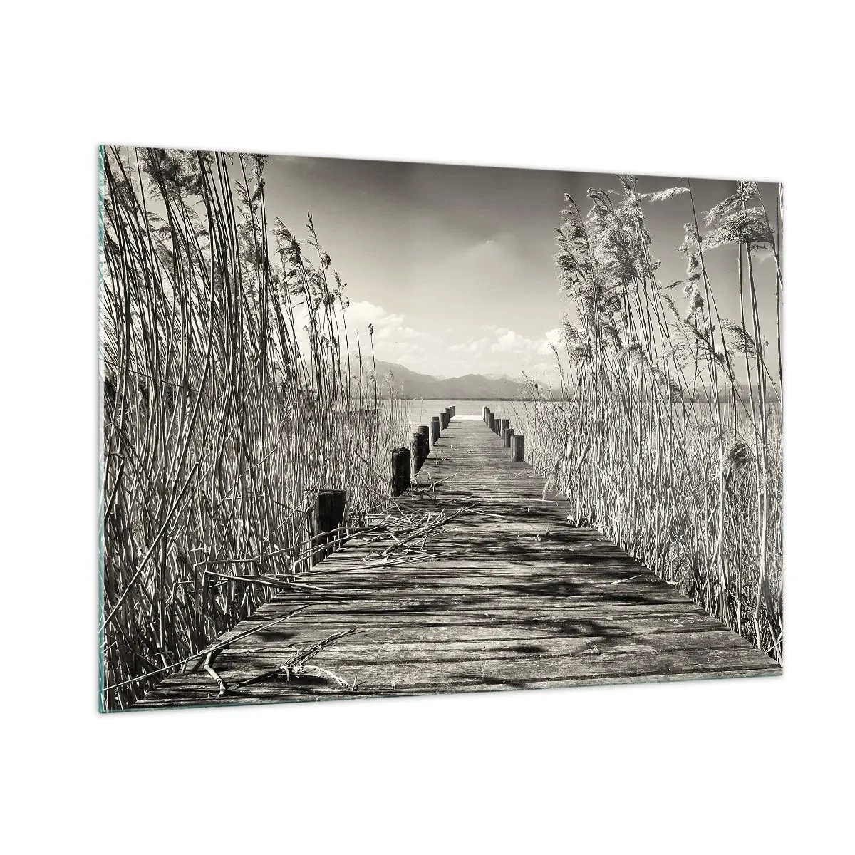 Billede på glas - I græssernes fred - 100x70 cm