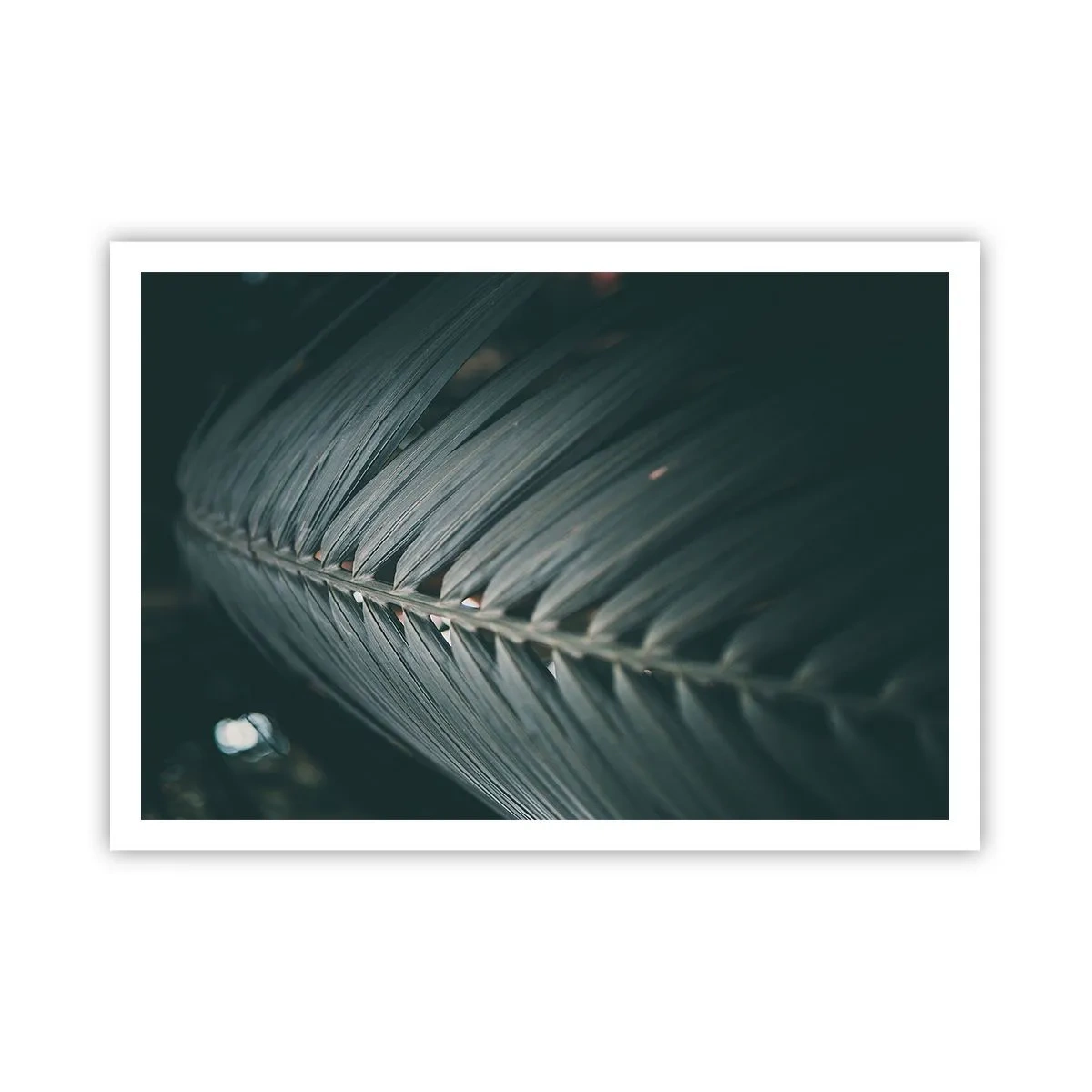 Plakat - Naturens præcision - 100x70 cm