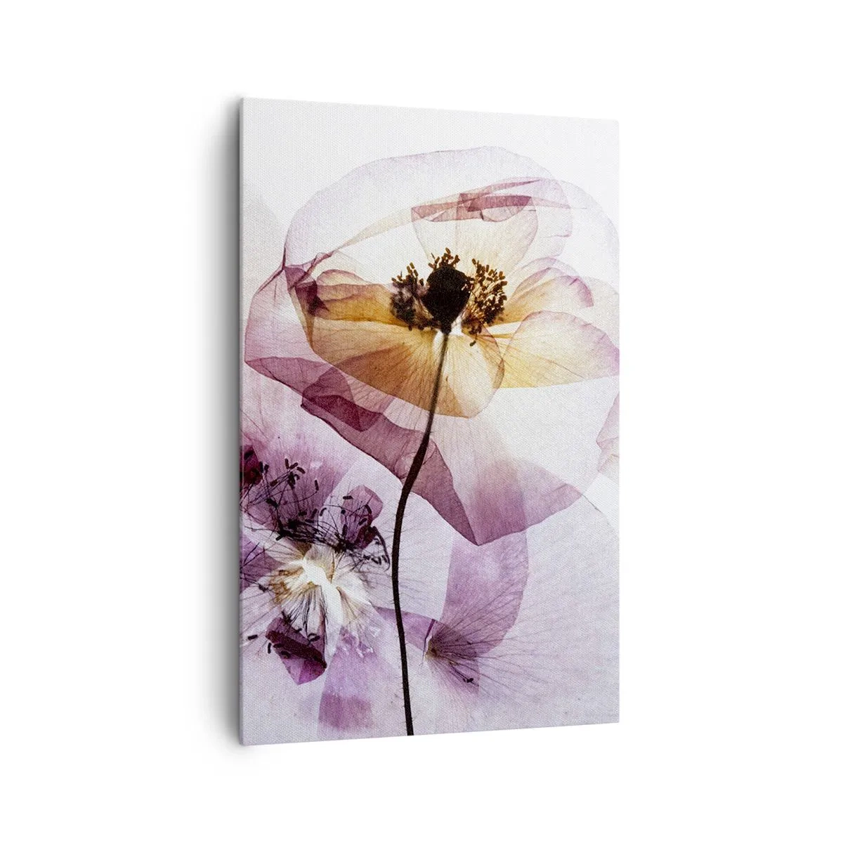 Lærredstryk - Billede på lærred - Blomsterlegeme dias - 80x120 cm