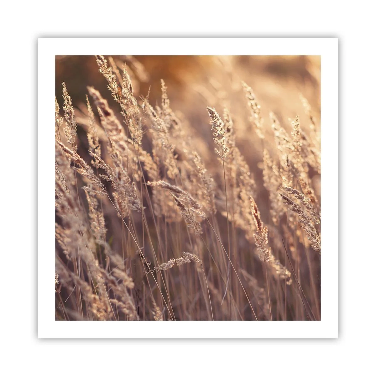 Plakat - Klar til at byde efteråret velkommen - 60x60 cm