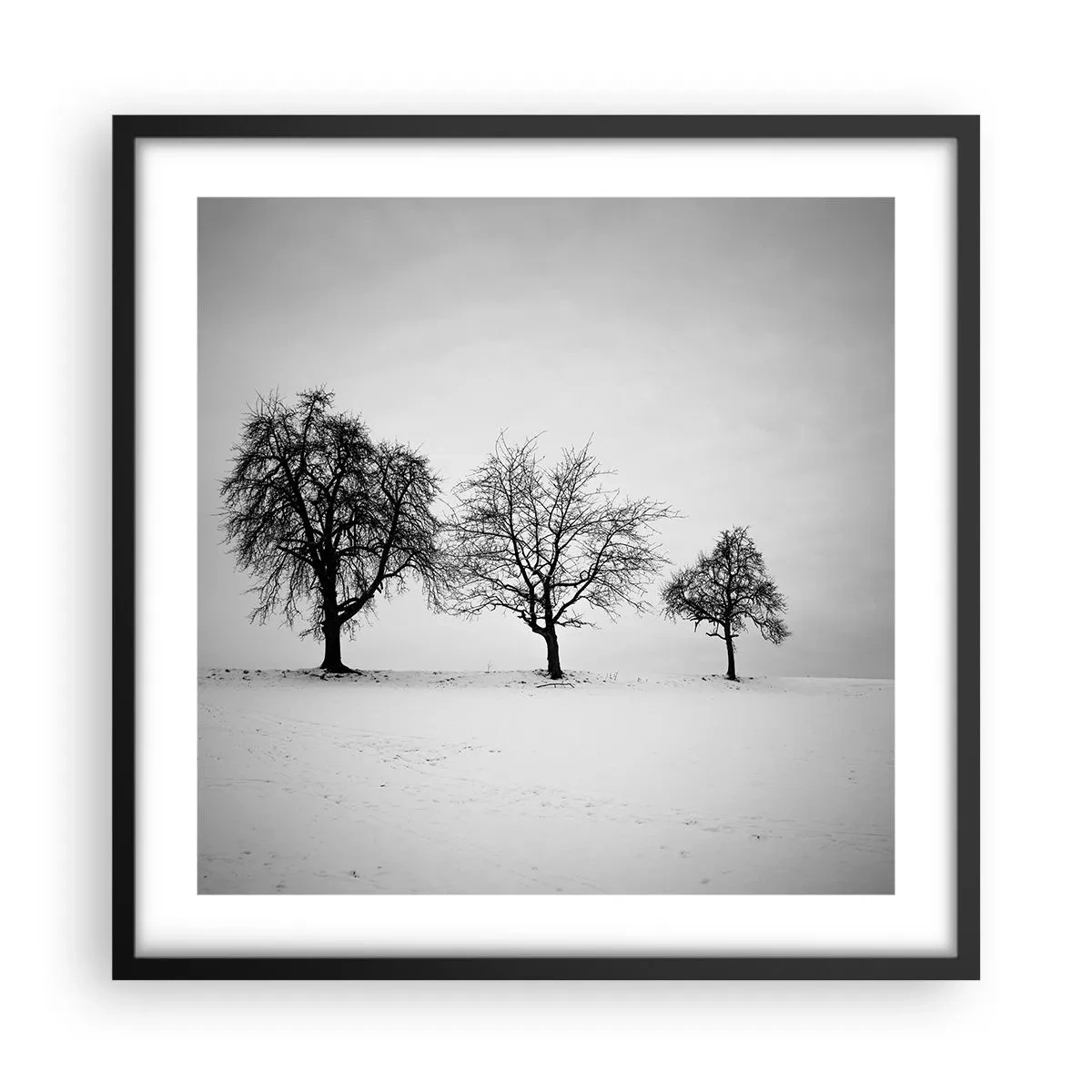 Plakat i sort ramme - Hvad drømmer de om? - 50x50 cm