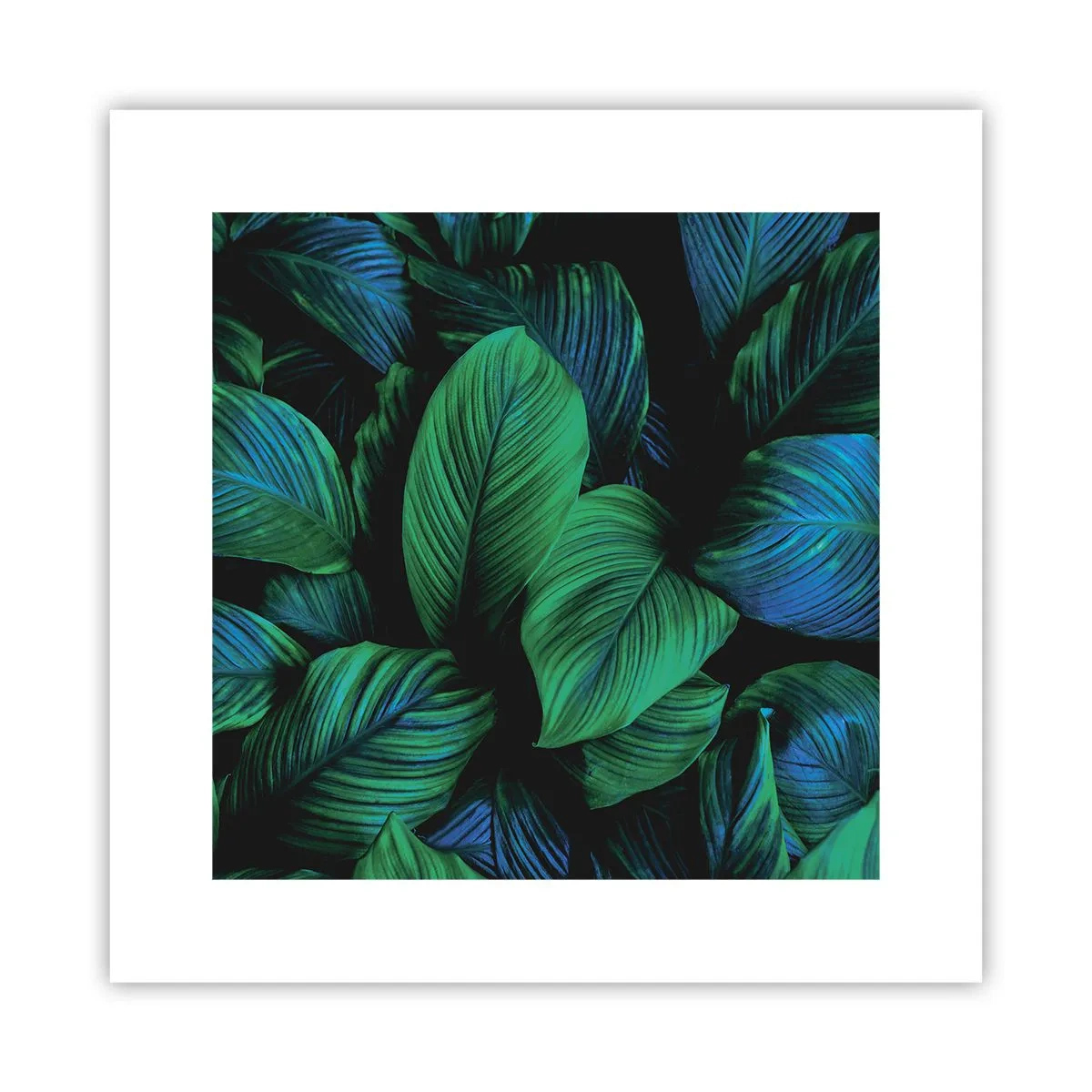 Plakat - I den grønne flok - 30x30 cm
