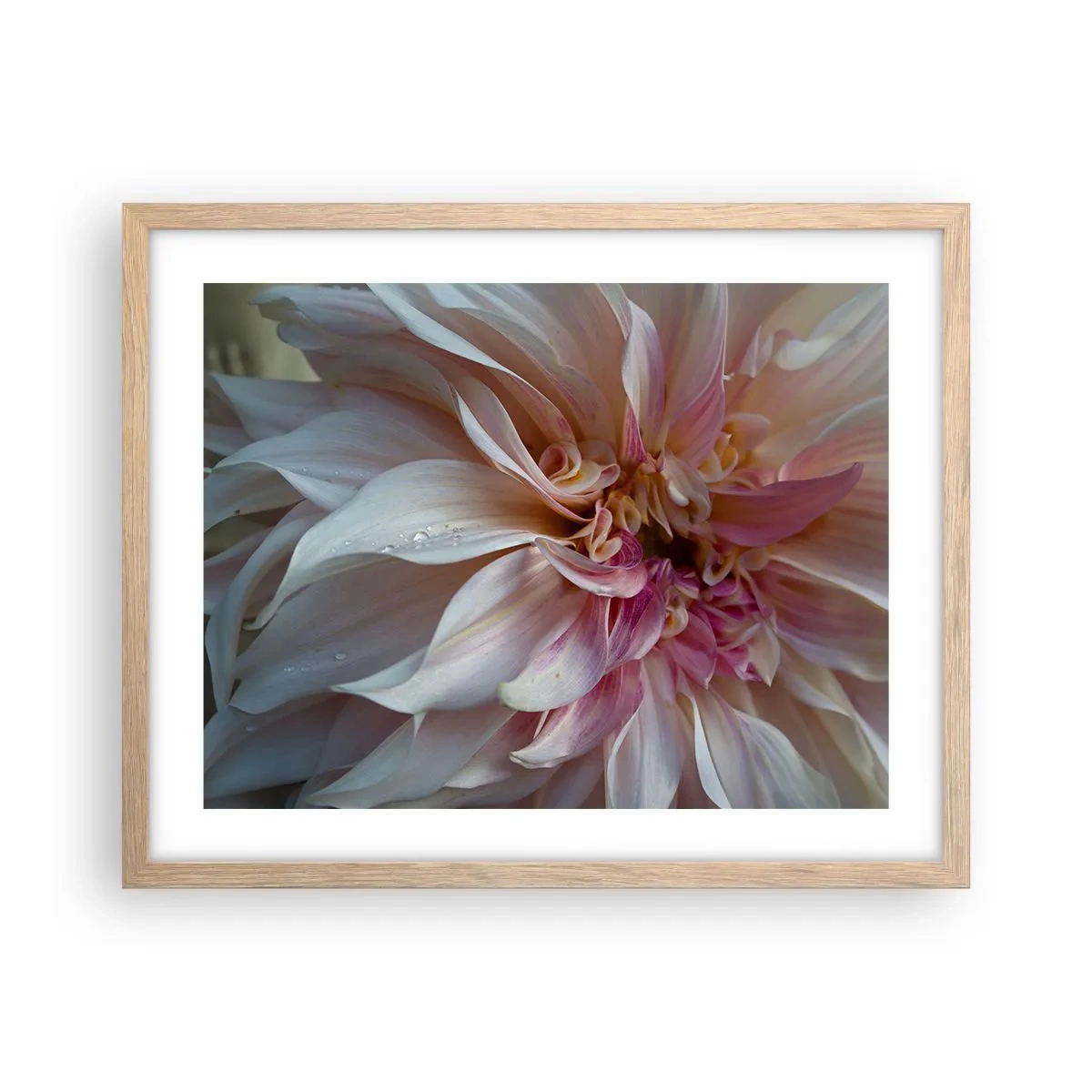 Plakat i ramme af lyst egetræ - Blomstrende friskhed - 50x40 cm