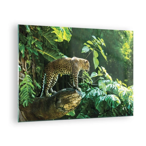 Billede på glas - Leopard på en klippe i den tropiske jungle - 70x50cm - Til jagt? - Moderne vægdekoration til stue og soveværelse ARTTOR