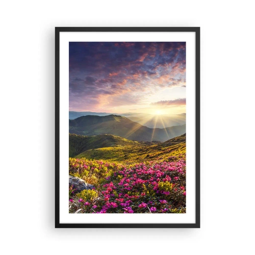 Plakat i sort ramme - Blomster i bjergene oplyst af den nedgående sols stråler - 50x70cm - Friskheden af en morgen i bjergene - Moderne vægdekoration til stue og soveværelse ARTTOR