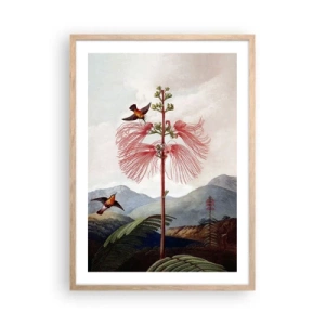 Plakat i ramme af lyst egetræ - I et tropisk paradis - 50x70 cm