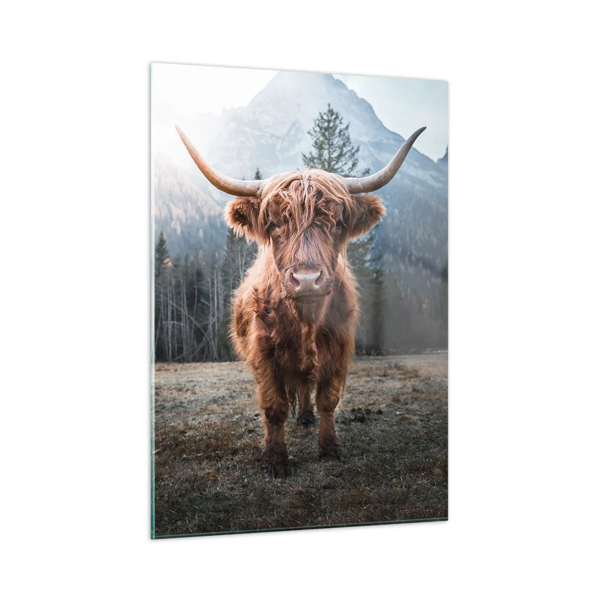 Billede på glas - Hilsner fra en eng i bjergene - 50x70 cm