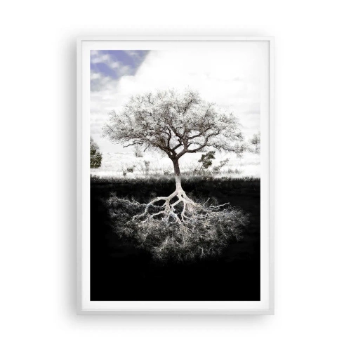 Plakat i hvid ramme - Opdagelse af verdens natur - 70x100 cm