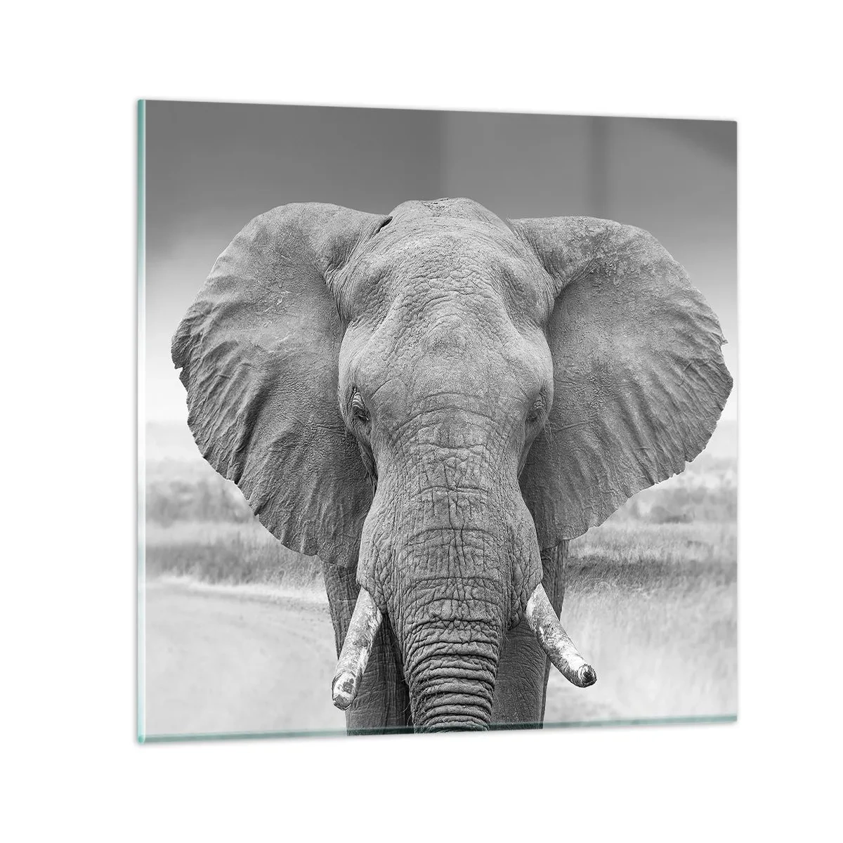 Billede på glas - Velkommen til min verden - 40x40 cm