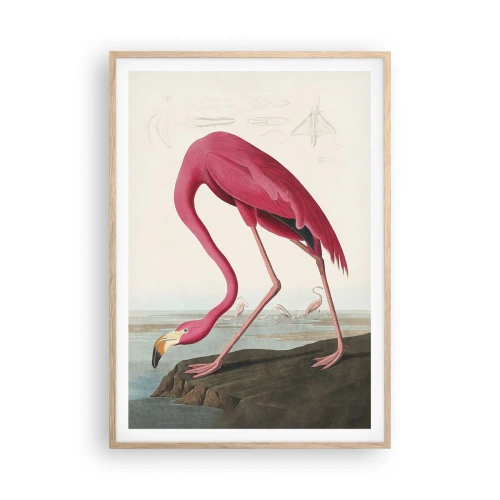 Plakat i ramme af lyst egetræ - Et forbløffende væsen - 70x100 cm