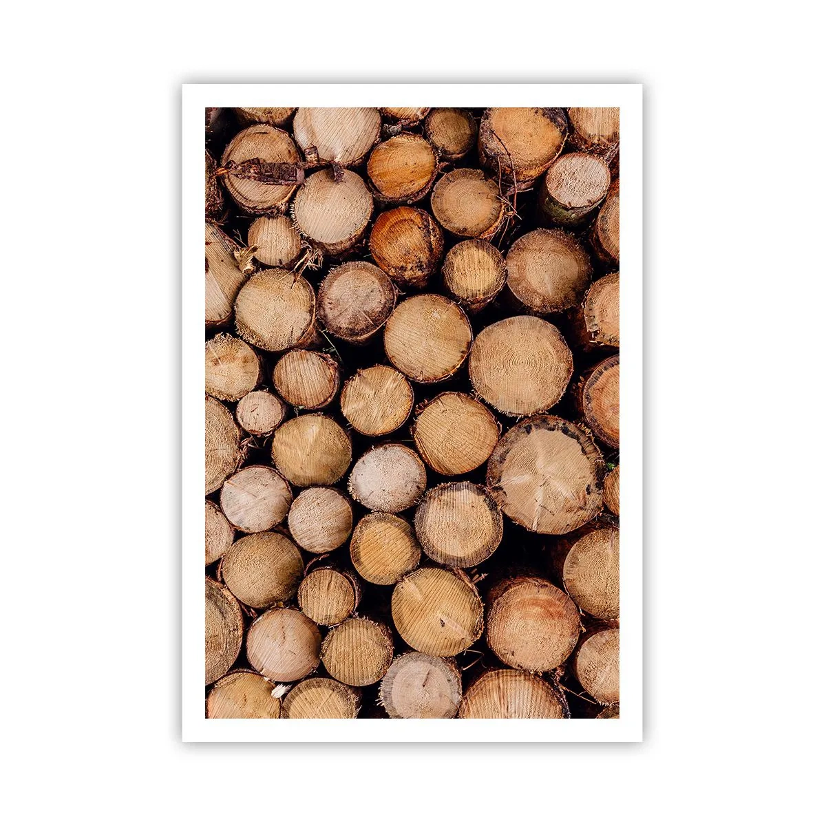 Plakat - En ny begyndelse - 70x100 cm