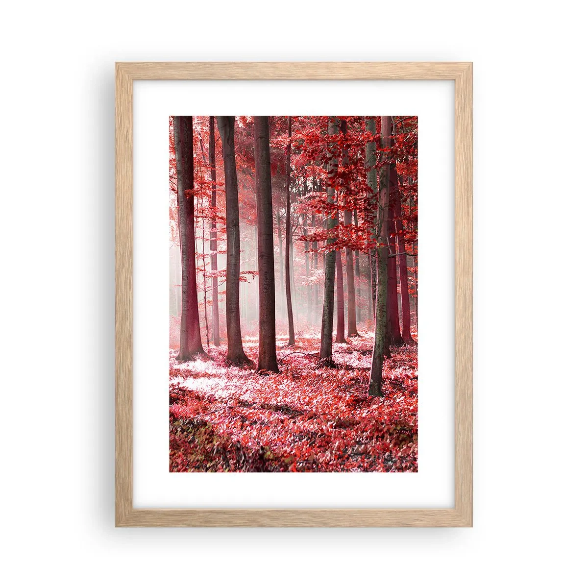 Plakat i ramme af lyst egetræ - Rød er lige så smuk - 30x40 cm