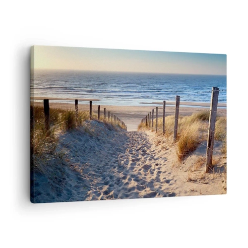 Lærredstryk - Billede på lærred - Sti gennem klitterne, der fører til stranden - 70x50cm - Havet brummer, fuglene synger, en vild strand midt i græsset.... - Moderne vægdekoration til stue og soveværelse ARTTOR