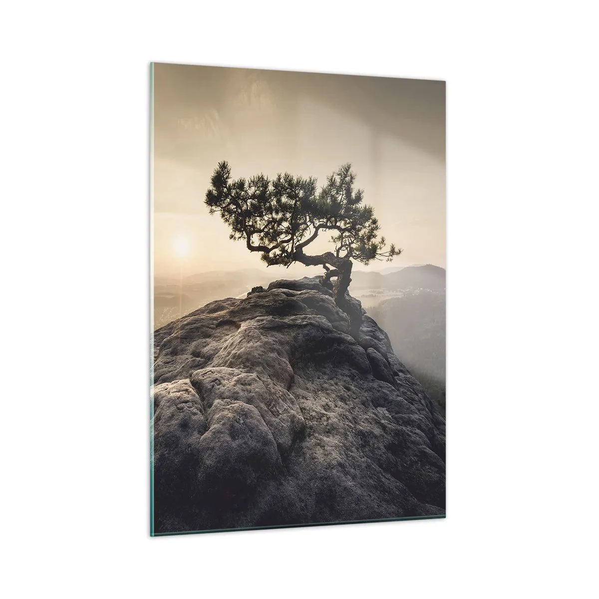 Billede på glas - Livet vinder altid - 50x70 cm