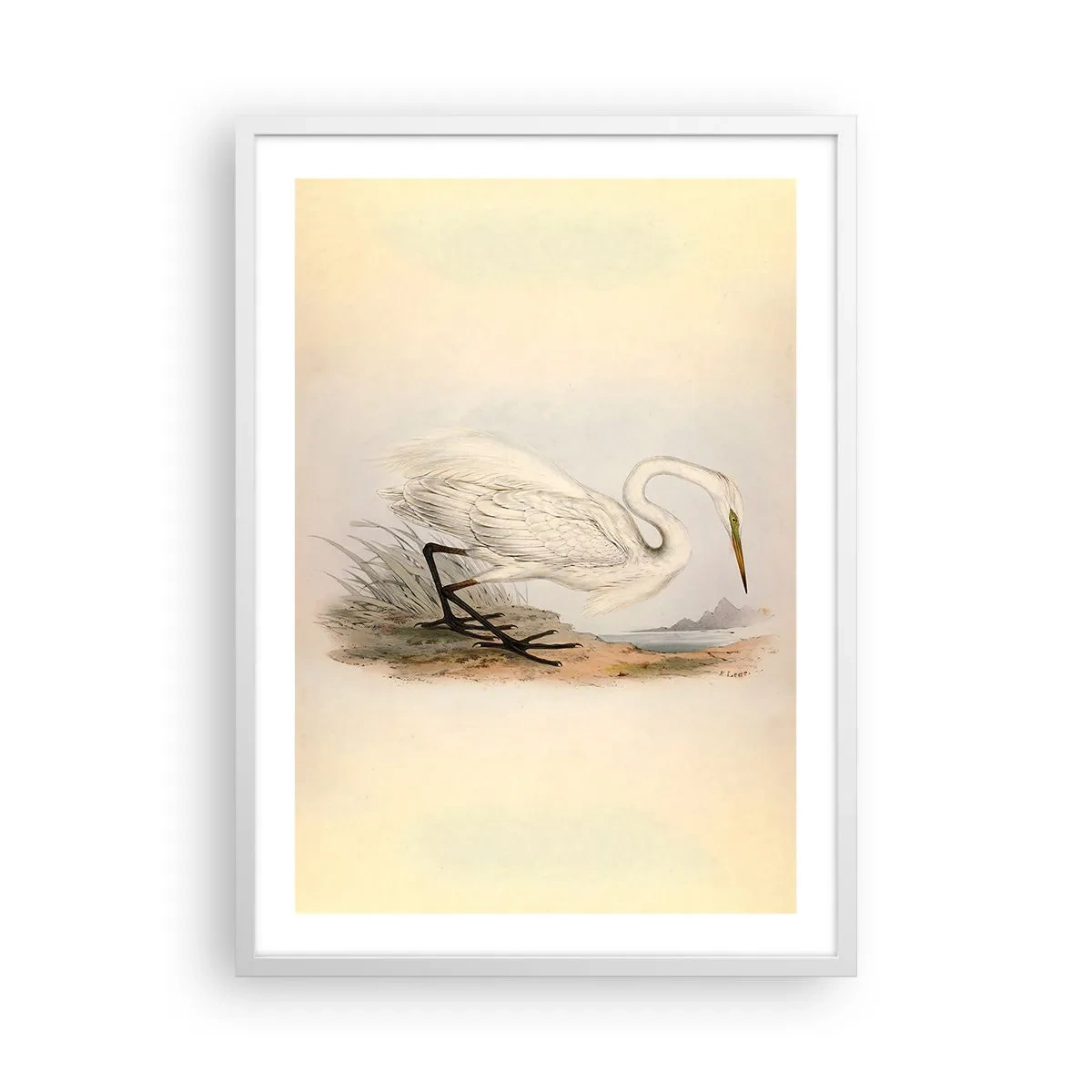 Plakat i hvid ramme - Dame på sivene - 50x70 cm