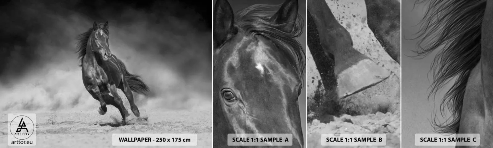 Prøve Fototapet Selvklæbende Deluxe Sticker - Værdig til emiren selv - Hest, Dyr, Natur - 100x30 cm