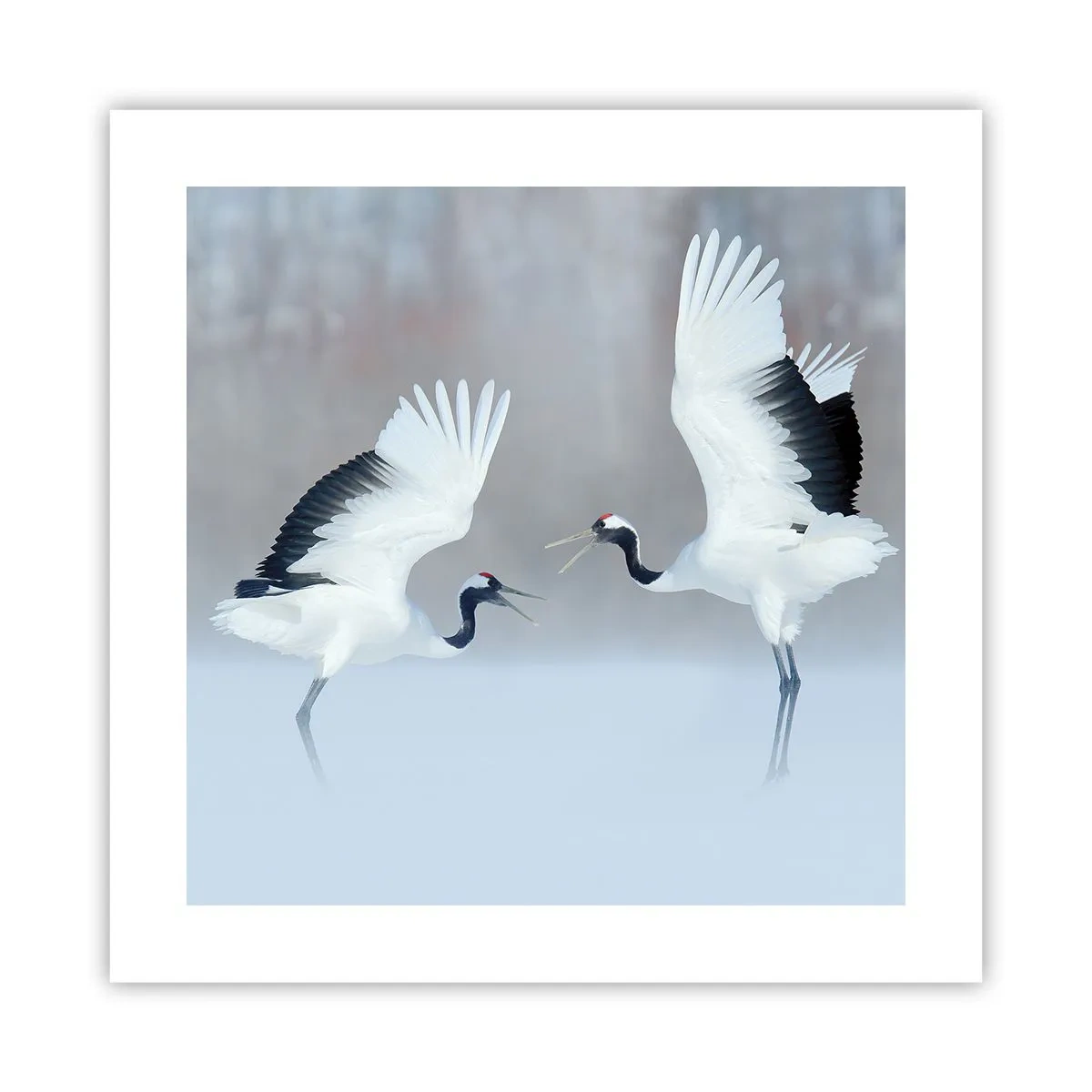 Plakat - Danser i tågen - 40x40 cm