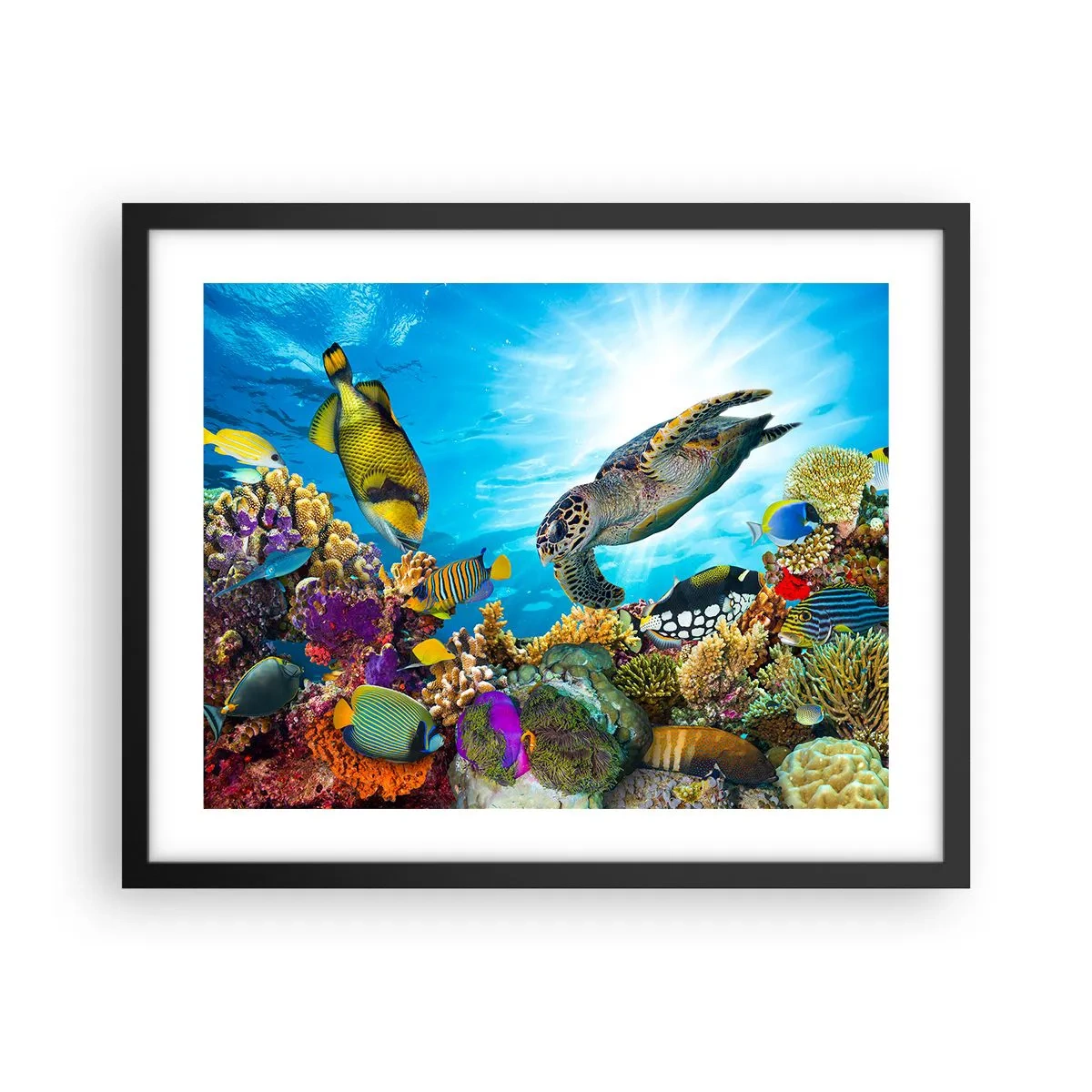 Plakat i sort ramme - Koralpromenade - 50x40 cm