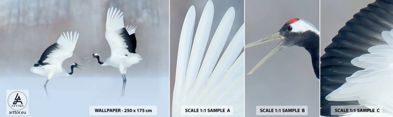 Fototapet Prøve Standard Eco - Danser i tågen - Vinter, Fugl, Natur - 100x30 cm