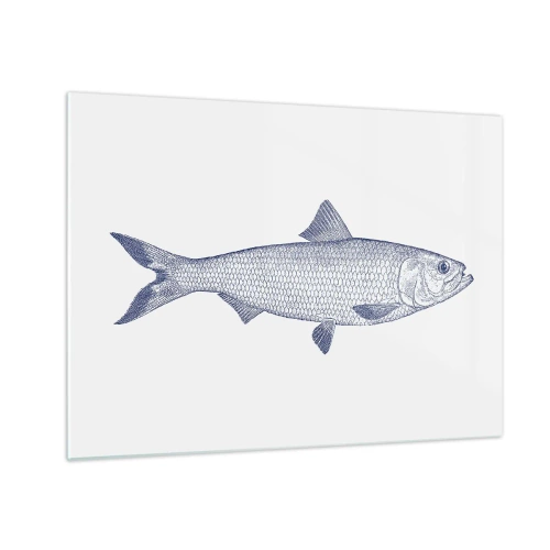 Billede på glas - Skitse af en fisk i vintagestil på en lys baggrund - 70x50cm - Hilsner fra de nordlige have - Moderne vægdekoration til stue og soveværelse ARTTOR