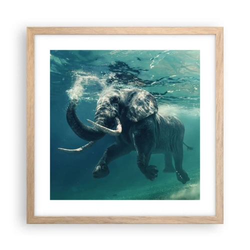 Plakat i ramme af lyst egetræ - Alle kan lide at svømme - 40x40 cm
