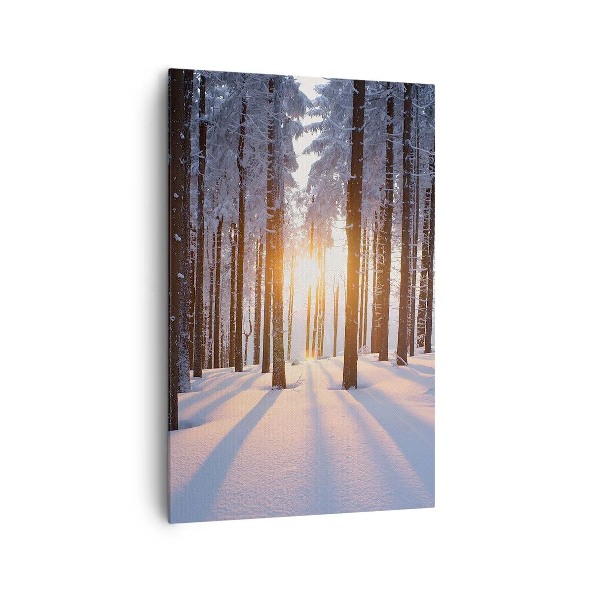 Lærredstryk - Billede på lærred - Klart i sort og hvidt - 80x120 cm