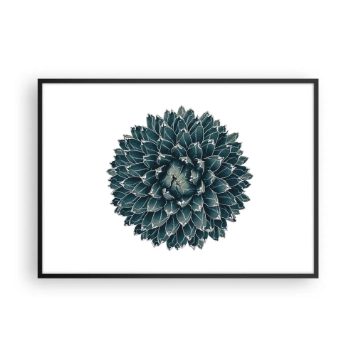 Plakat i sort ramme - Ørkenstjerne - 100x70 cm
