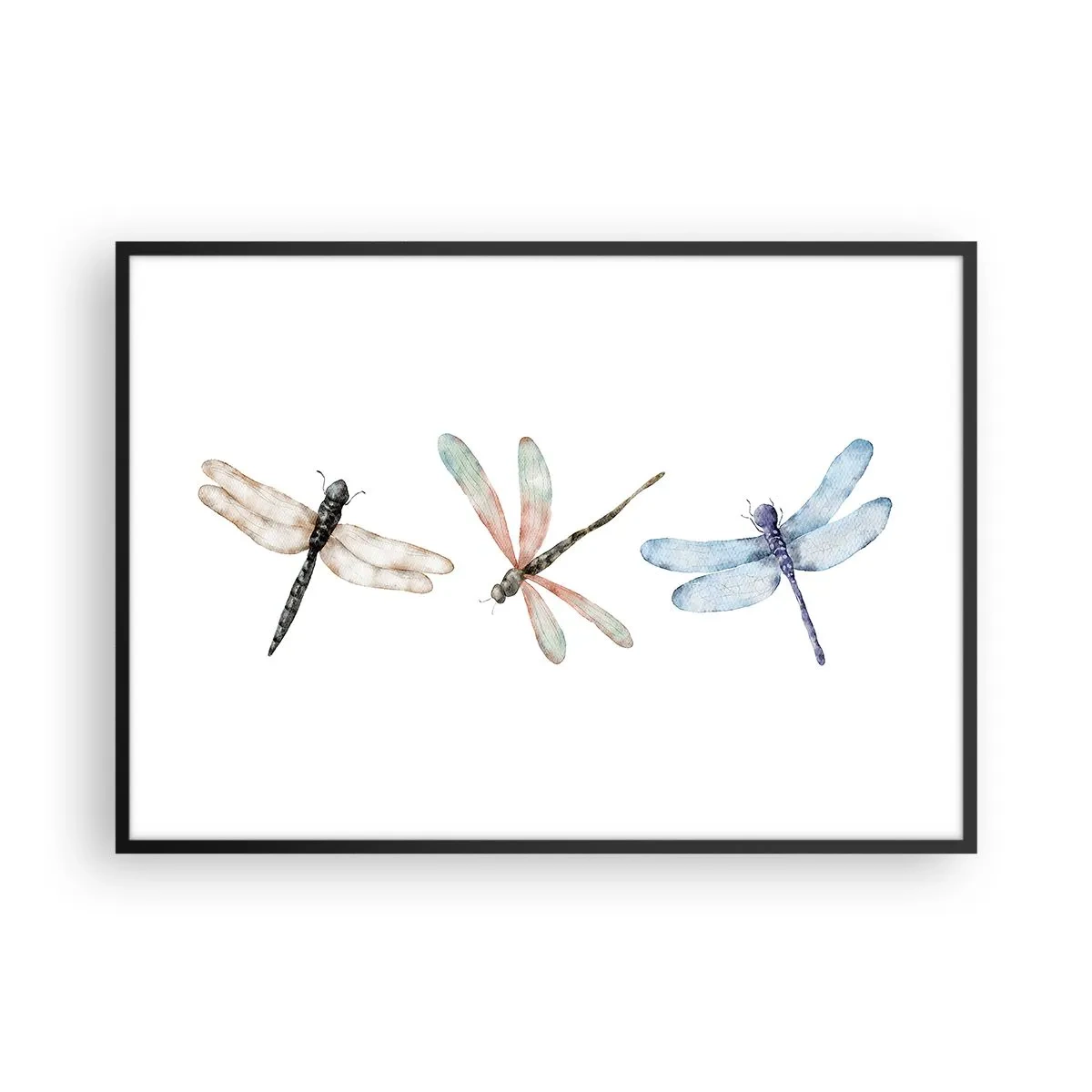 Plakat i sort ramme - Vægtløse guldsmede - 100x70 cm